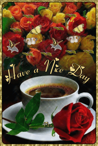 have-a-nice-day