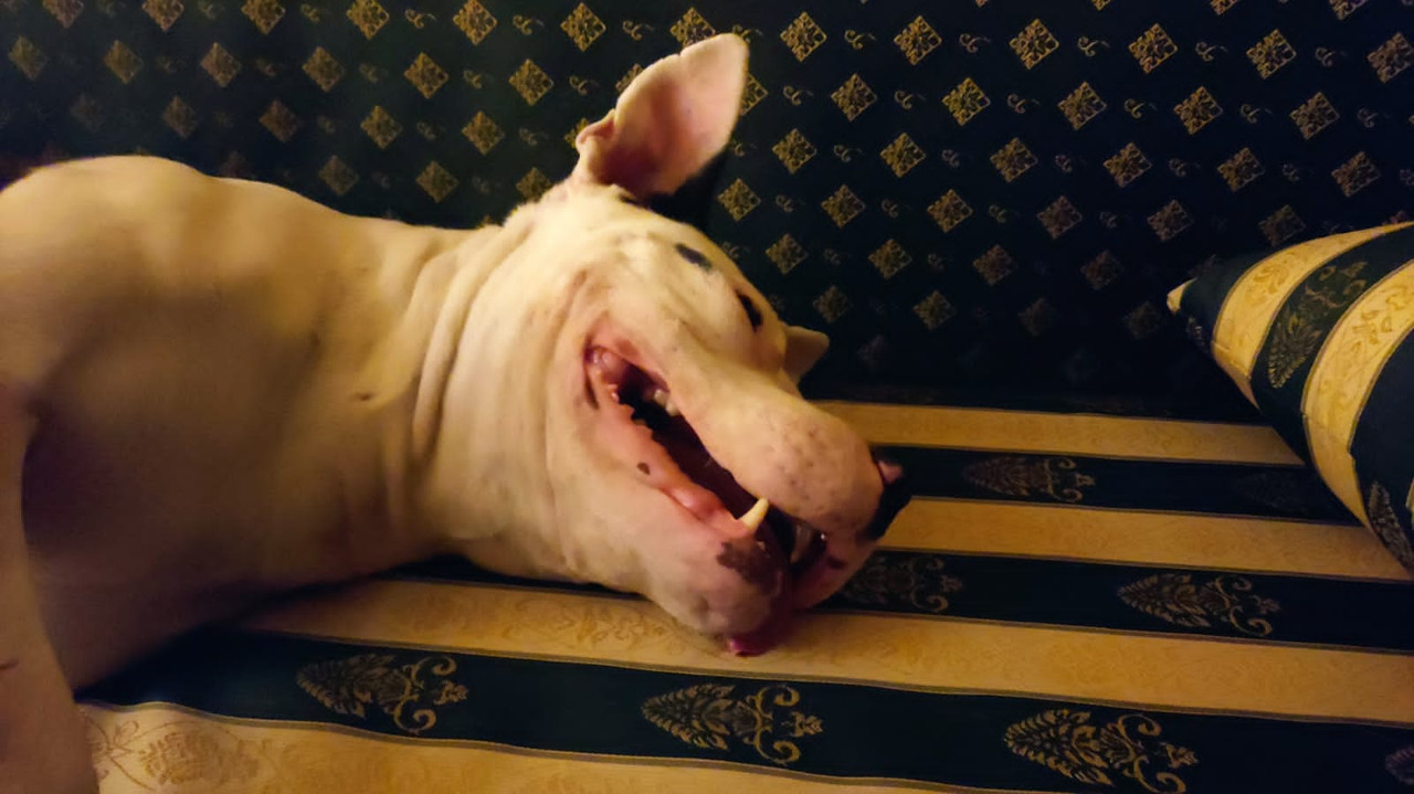 5E918E11-3358-40B1-8615-051CA525D994