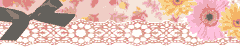 pink 555