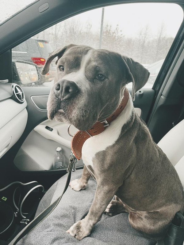 69663CAD-0B9A-4759-8766-7DE57258F7B4