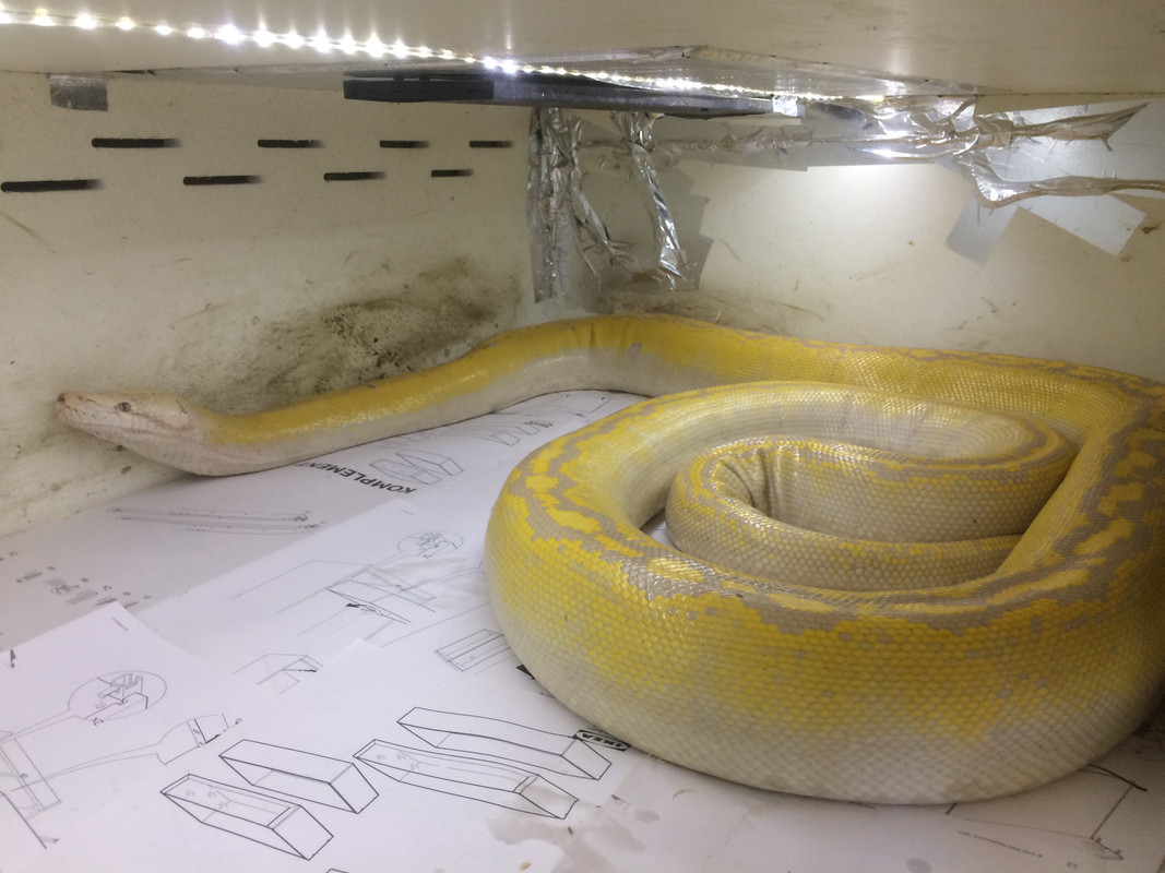 402227A8-F74B-40E2-8951-25D980626703