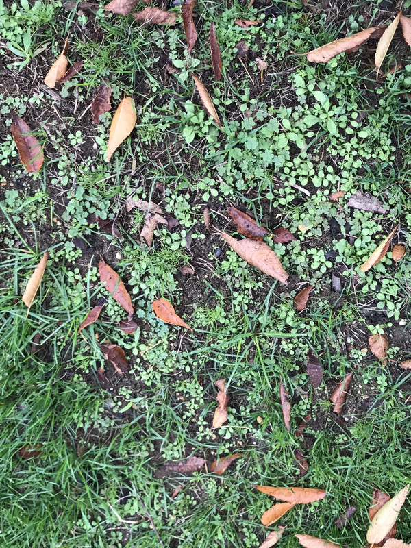 1584B85A-BC4D-440D-8381-22A8B7921685