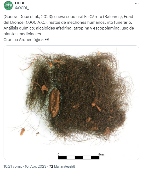 Haarprobe aus der Bronzezeit