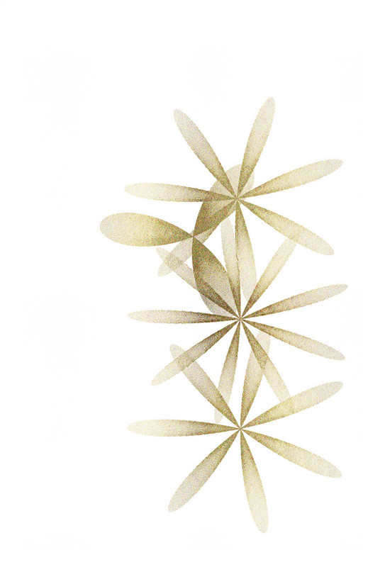 4 птиц рубашка