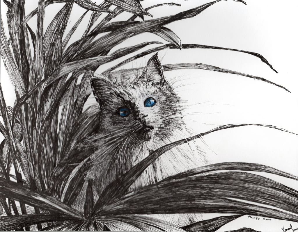 Vincent-Alexander-Booth-Monty-plant-2015-ink-on-paper-Meister-Drucke-391088
