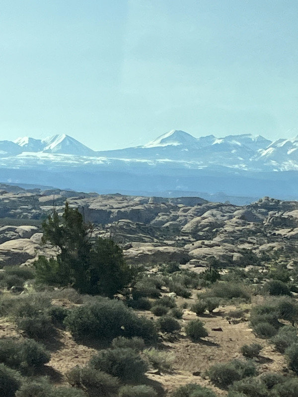 EF198FD0-5CB6-44AE-BE8E-AFA55EAA153D