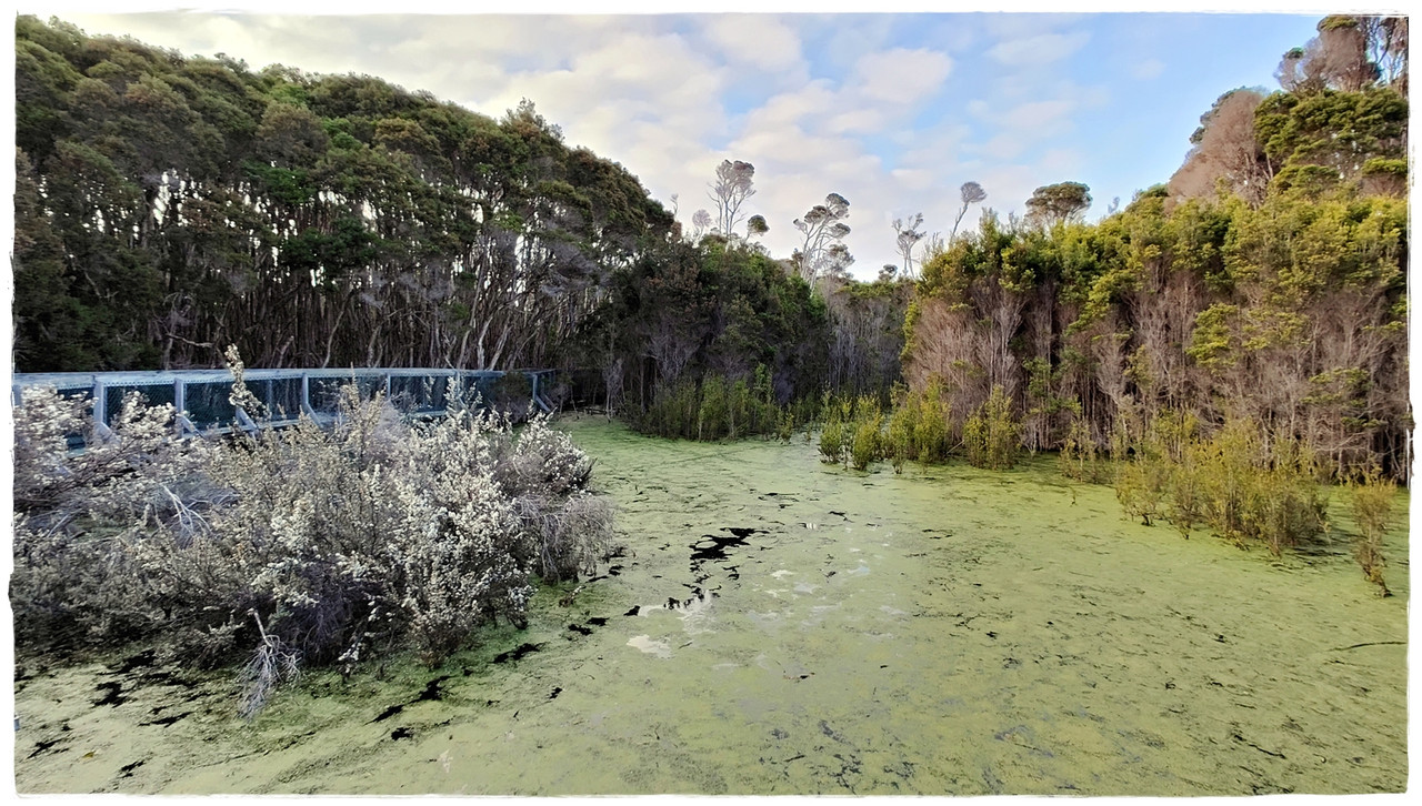 Narawntapu National Park - Australia (II): Recorriendo Tasmania (6)