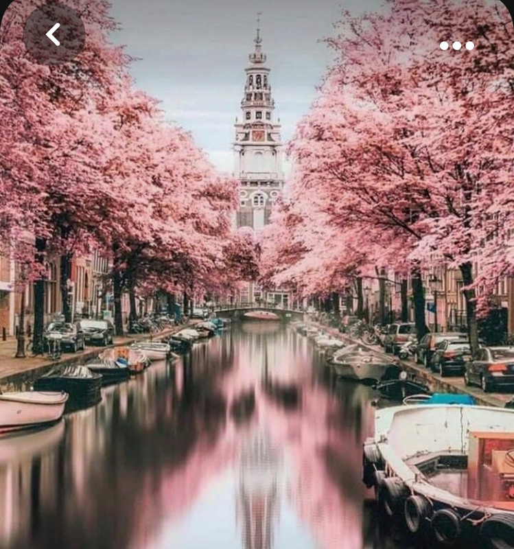 Screenshot_20231011_134805_Pinterest