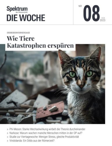 Cover: Spektrum der Wissenschaft Die Woche No 08 2023