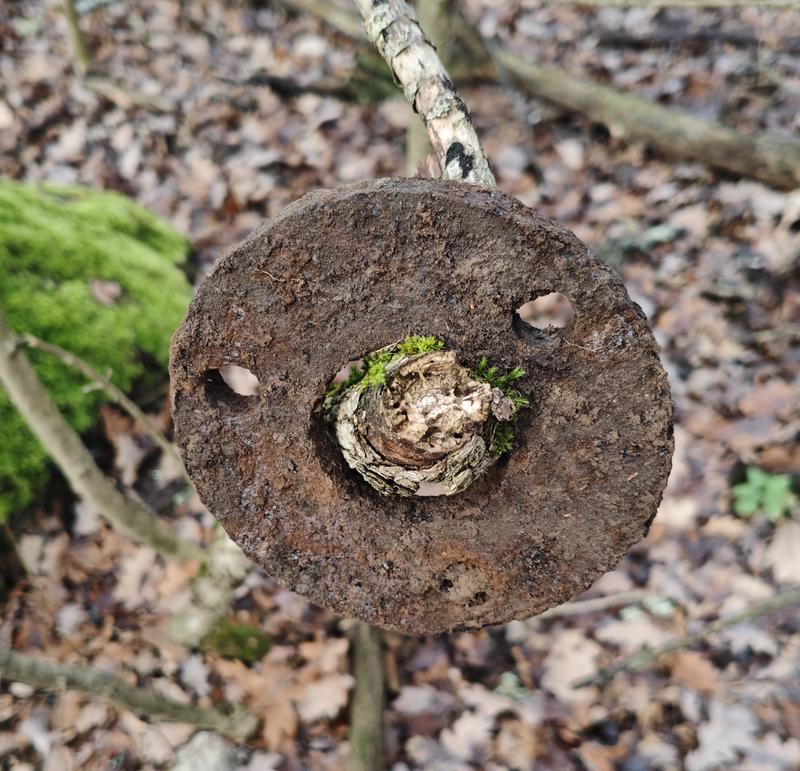 Зображення