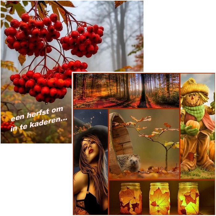 Klik op de afbeelding om de link te volgen