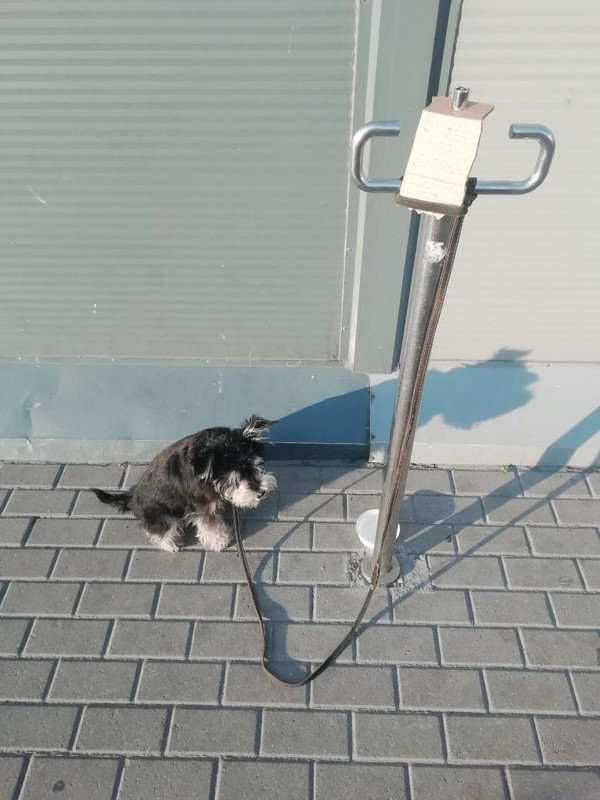 C1059279-5E0D-4BC5-98E0-643BCBF4B77E