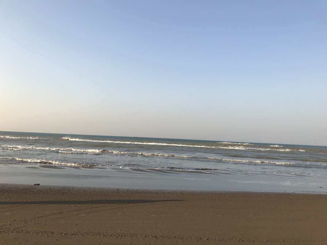 E131F59F-05C1-4E65-AC02-2B1F07F0EFB4