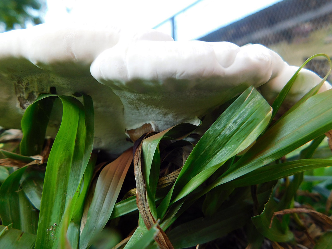 DSCN0345.jpg