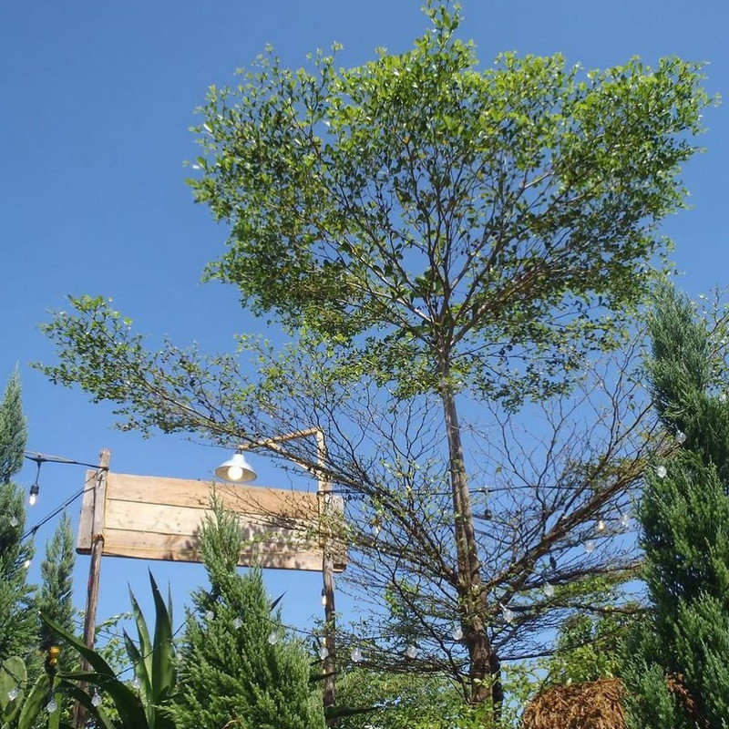 photo 25 2026 01 03 21 22 22