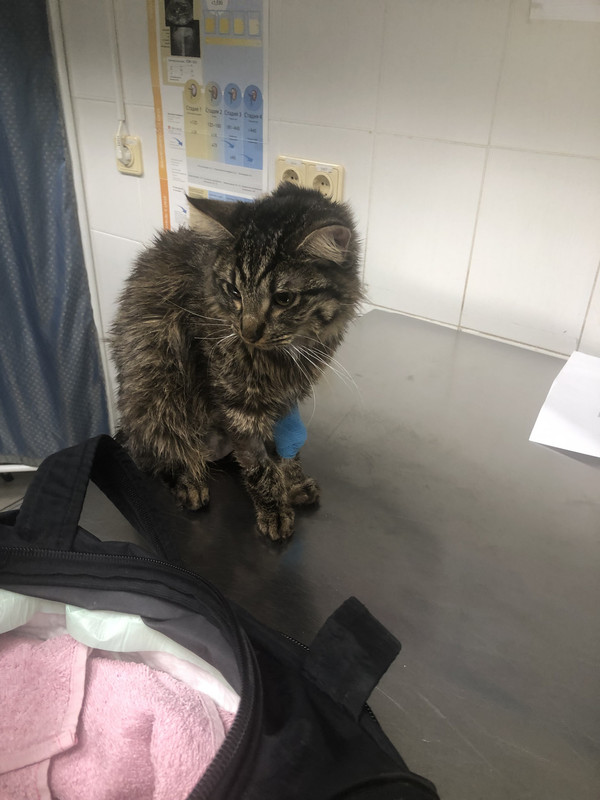 58D6BA50-F16E-4EC7-AD5A-2ADB47CF3923