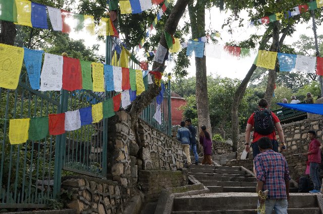 Día 3- Katmandú: Trámites, Patán y Swayambhunath - INDIA Y NEPAL POR LIBRE: 21 INTENSOS DIAS Y UNA TOTAL AVENTURA (6)