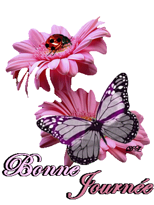 Jeudi 6 Juin 2019... JOURNEE-PAPILLON-COCCI-FLEUR-A