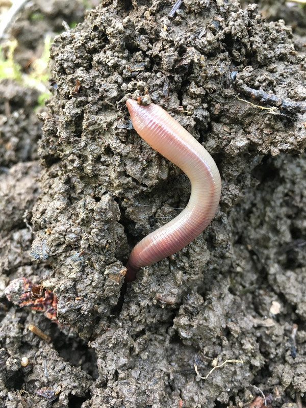 2F9EE811-4112-416F-B53A-0AD0547671C7