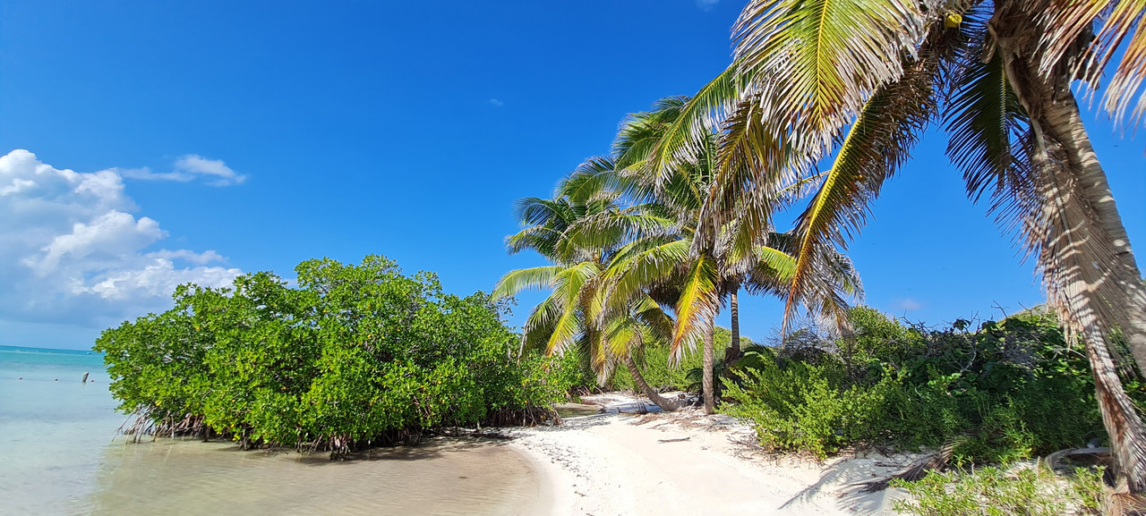 Isla Mujeres e Isla Contoy, un regalo de la naturaleza - Riviera Maya en Navidad (17)