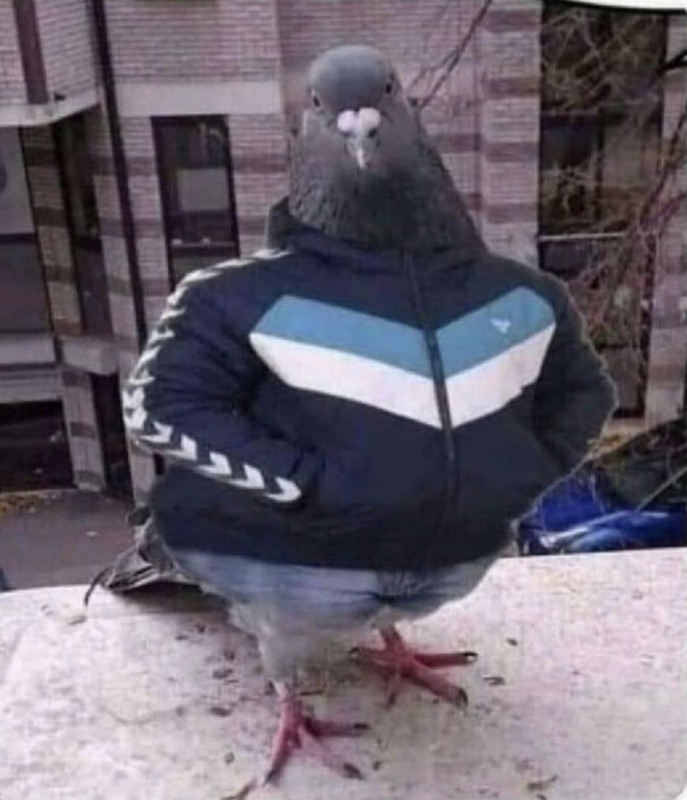 FD7E18DB-EF40-48AA-B5A5-6EE33BB4B873