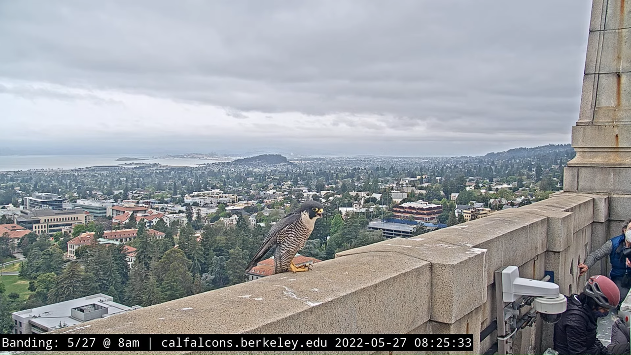 5-27-22 Banding (Raw West Footage) 15-43 screenshot