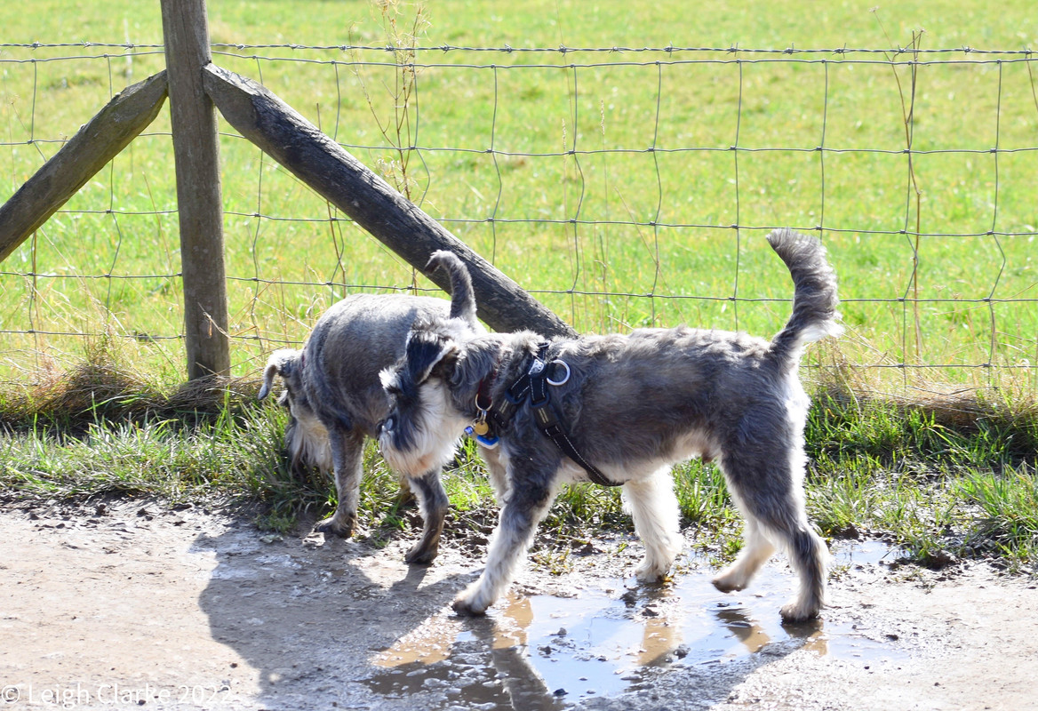 7C08CD45-AD46-4268-95A5-6923B3BBC881