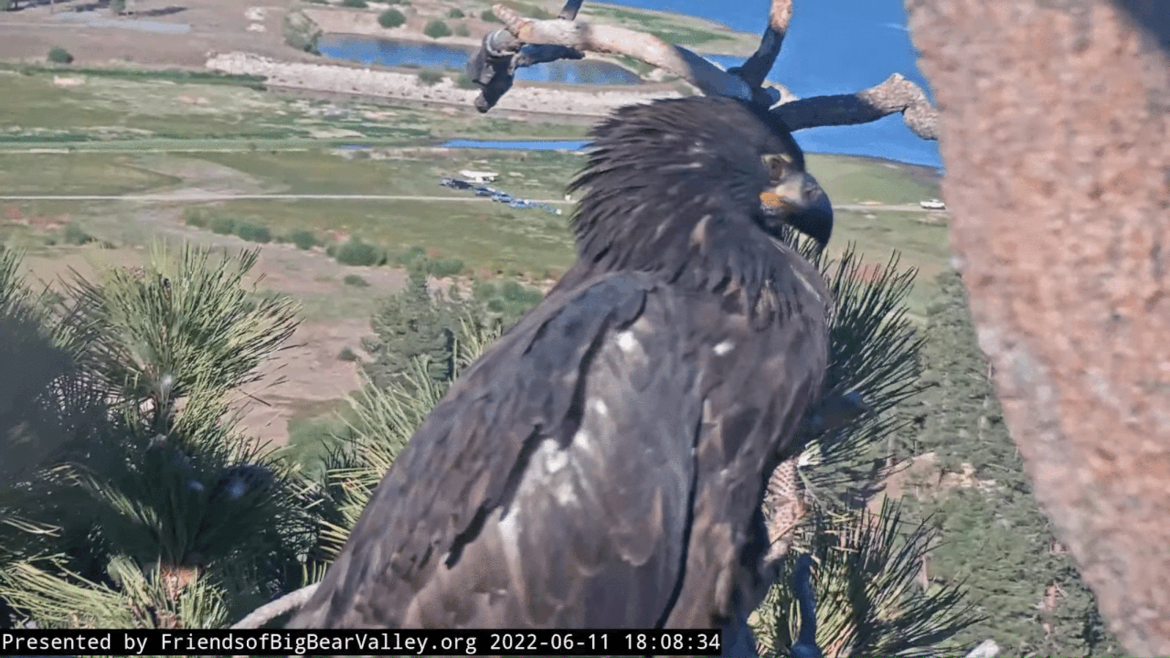 Webp.net-gifmaker (2)