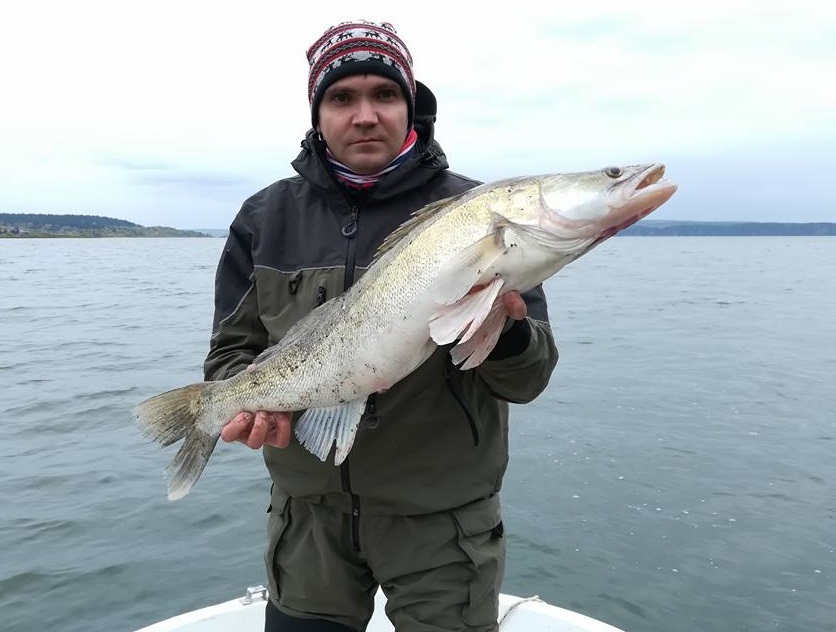 6 Кузнецов Никулин джиг (1)