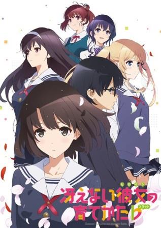 telecharger-saenai-heroine-no-sodatekata-flat-saison-2-vostfr-ddl-pack-mega
