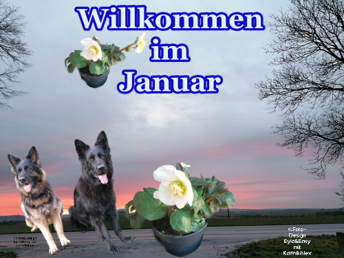 An den Beitrag angehängtes Bild: https://i.postimg.cc/8ck2Hy2G/Willkommen-im-Januar-2023-Watermarked-Watermarked.png