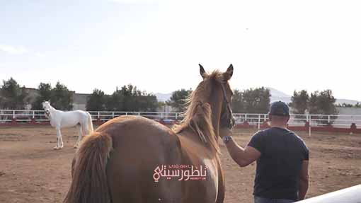 reel-final-00-03-06-35-Still007