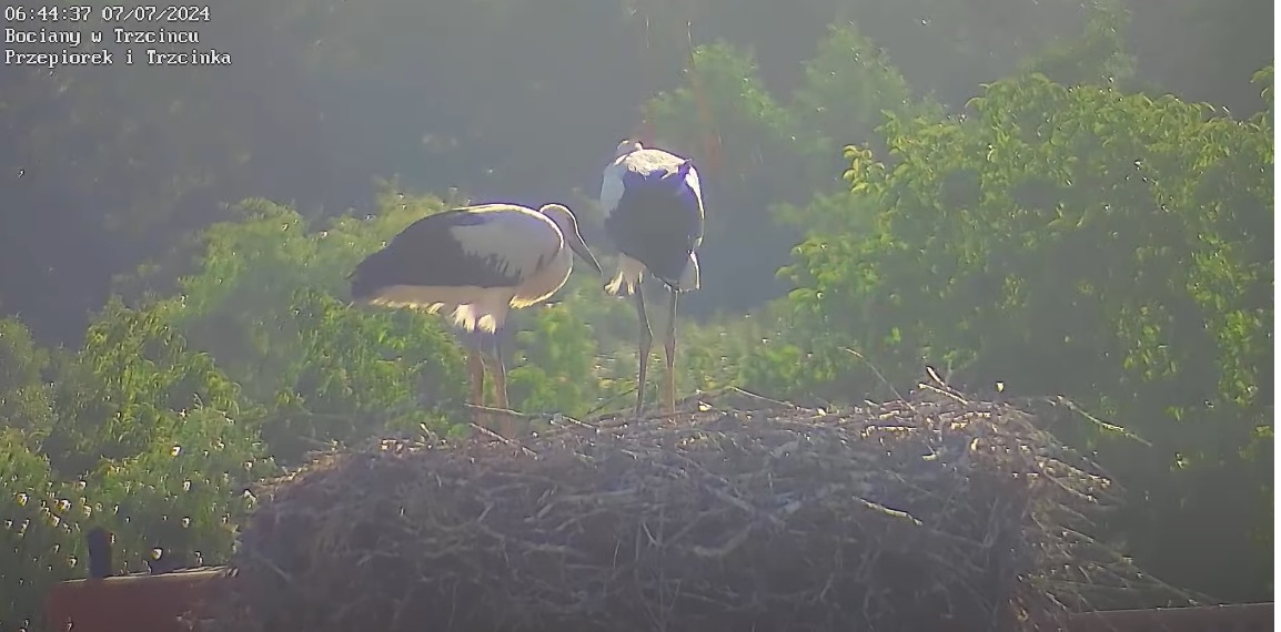 jakparazmieniamstanunoszesiedochmur