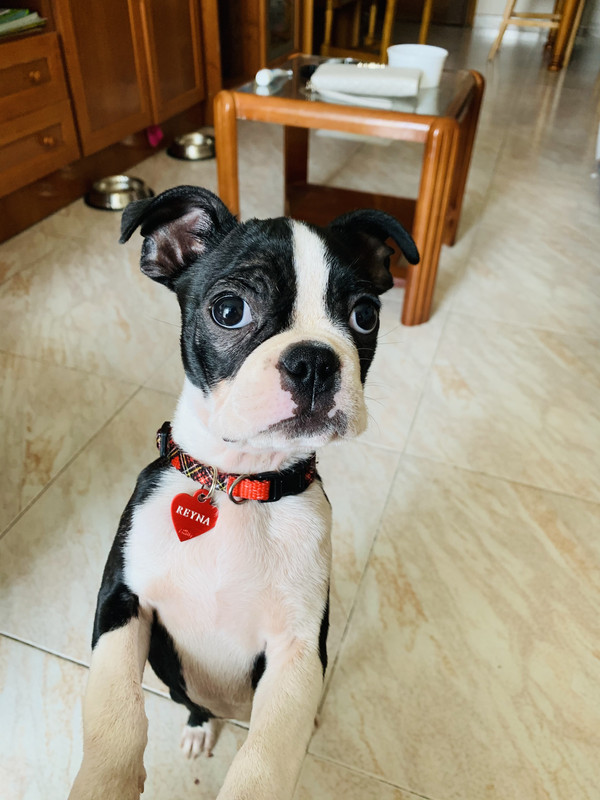 A1E1B4EE-5DEF-4E73-BC9A-73C24E873A29