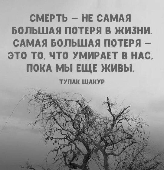 [Изображение: 40aee822f10a1801ecd62d6201b5feff.jpg]