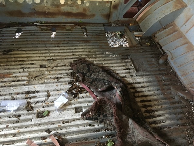 11A184D3-C462-4510-BFE9-6A7BEEE6E457