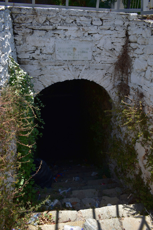 Δρυοπίδα (32)