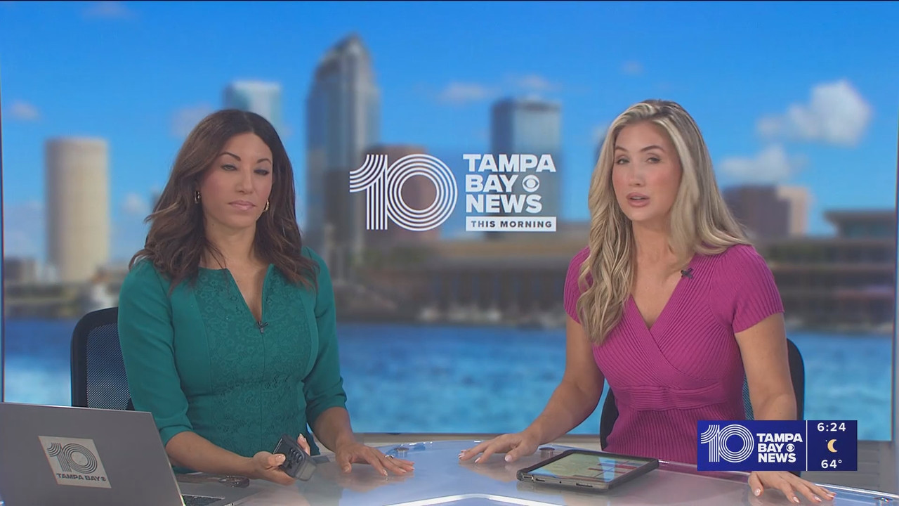 10 Tampa Bay News This Morning at 600 a m 20251119 11001200 ts snapshot 25 55 754