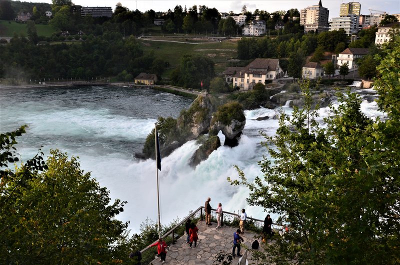 CATARATAS DEL RHIN-5-9-2019 - Suiza y sus pueblos-2019 (9)