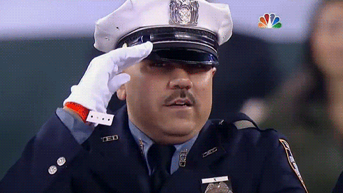 IMG-3095.gif