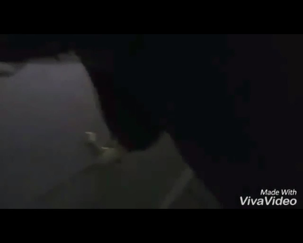 IMG_20240420_145622_433