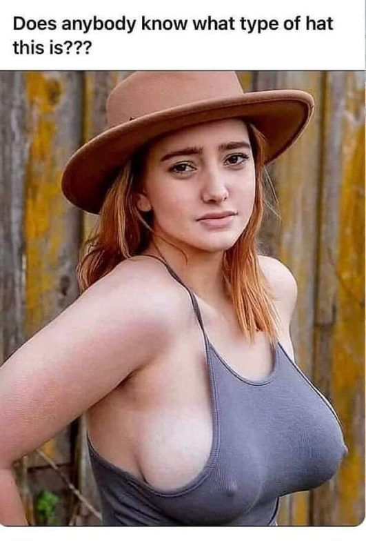 Screenshot 2026 03 19 at 00 11 47 Post a MEME Thread Page 5659 Yellow Bullet Forums