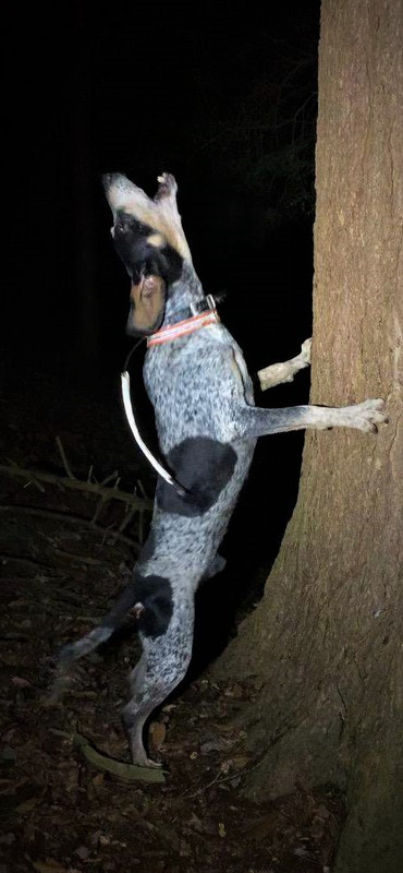 Resized_IMG_4660 (1)