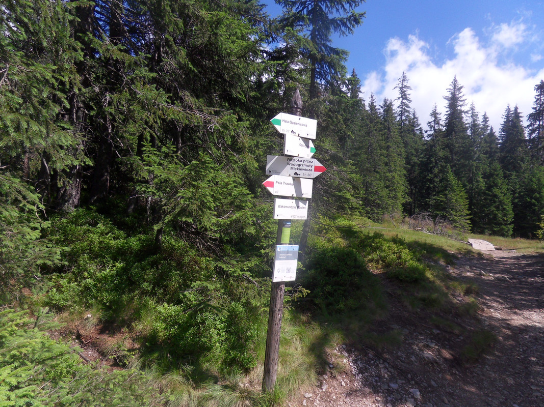 16 - SDC11724 (Czesio1)