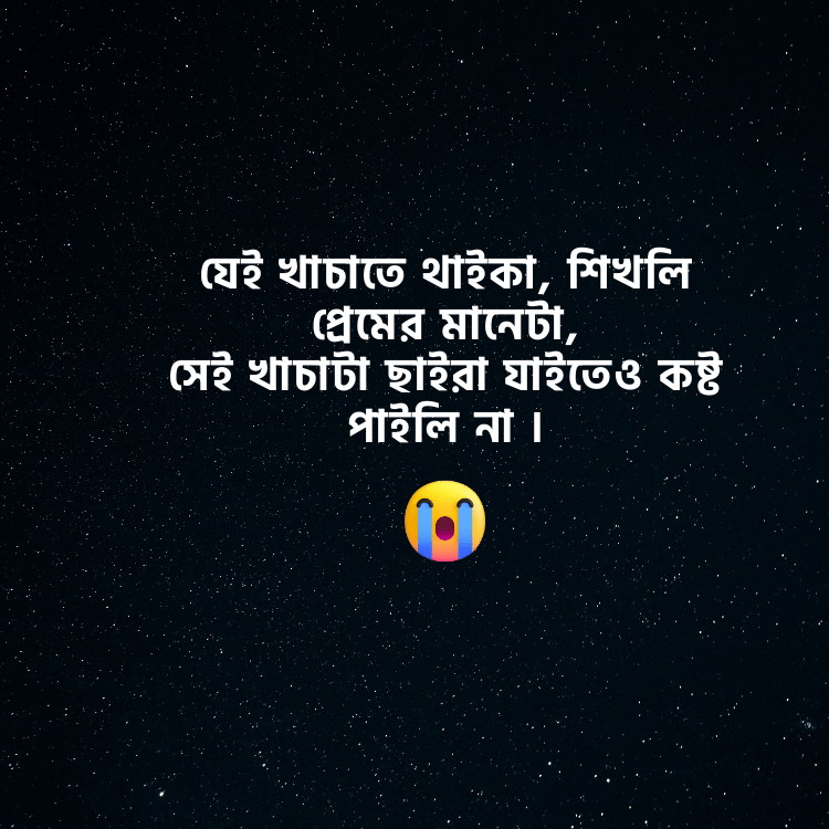 কষ্টের পিকচার, ইমোশনাল কষ্টের পিক ও কষ্টের ছবি  Koster Pic 2024 (37)