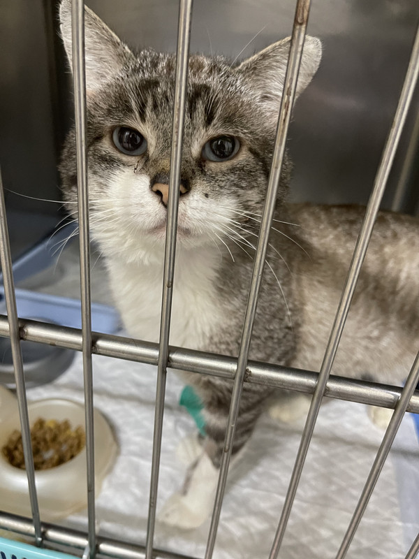 781CE501-7571-4522-948C-0549D2E943EC