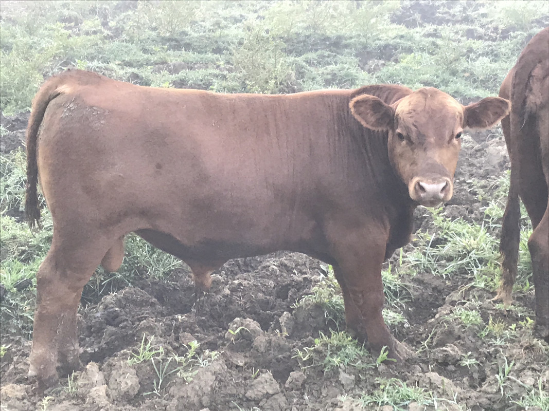 C8 F1708 F F30 B 4 E8 C 9 D7 D D1936 F7001 BA — Postimages