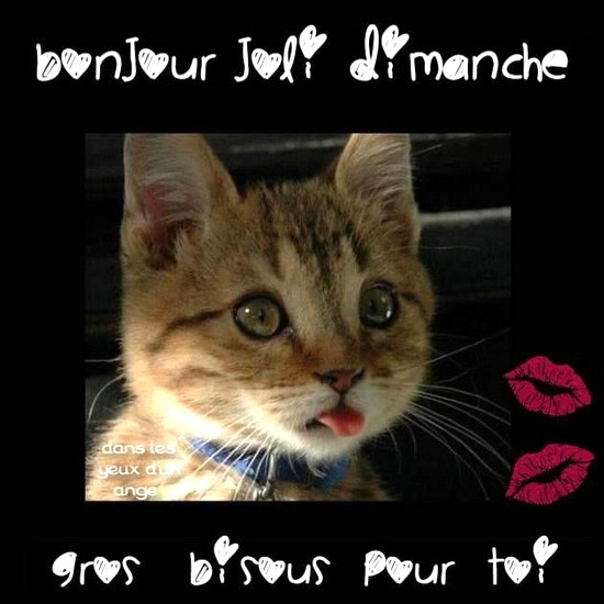 2-joli-dimanche