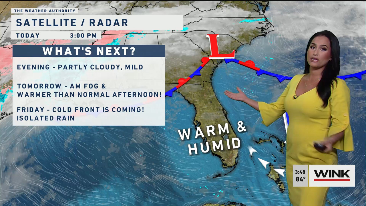 02.01 - 20.00.00 - WINK News at 3pm  ᴺᵉʷ..ts_snapshot_00.55.03.832