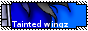 B20